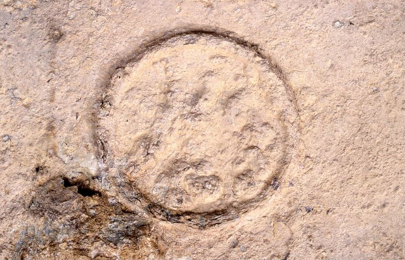 sarcophage de la nécropole romaine de la rue Perdue