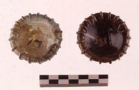 Di079384