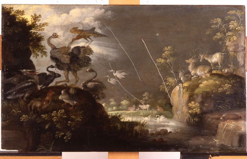 Landschap met struisvogel