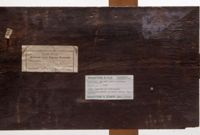 Di079438