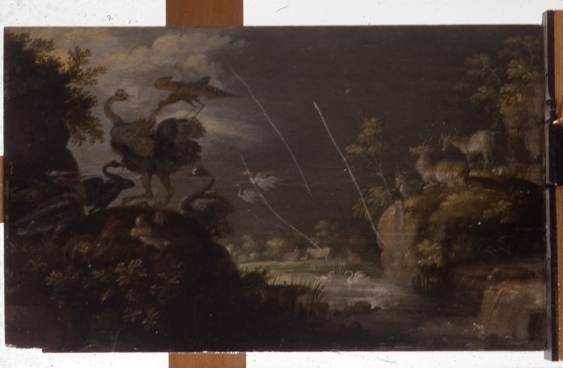 Landschap met struisvogel