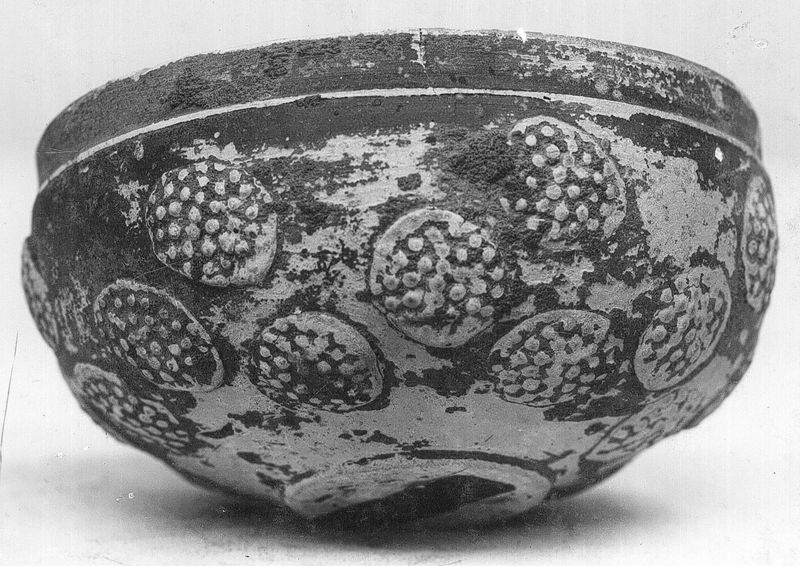 Petite coupe avec anneau de base