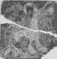E003123