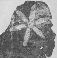 E003124