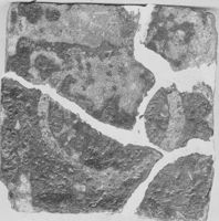 E003126