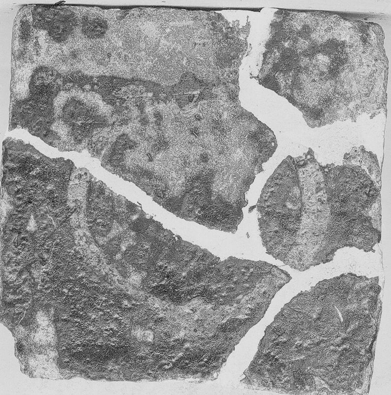carreau de pavement / Musée communal d'Archéologie, d'Art et d'Histoire