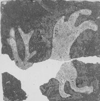 E003127