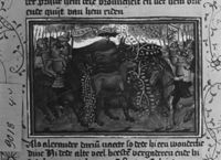 E004249