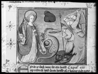 E006503