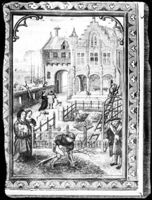 E006517