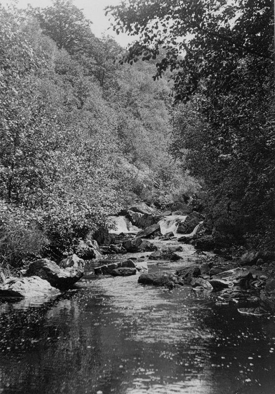 cours d'eau / Aspect[Polleur]