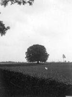 E009401