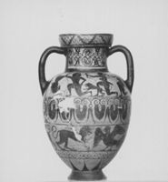 E009619
