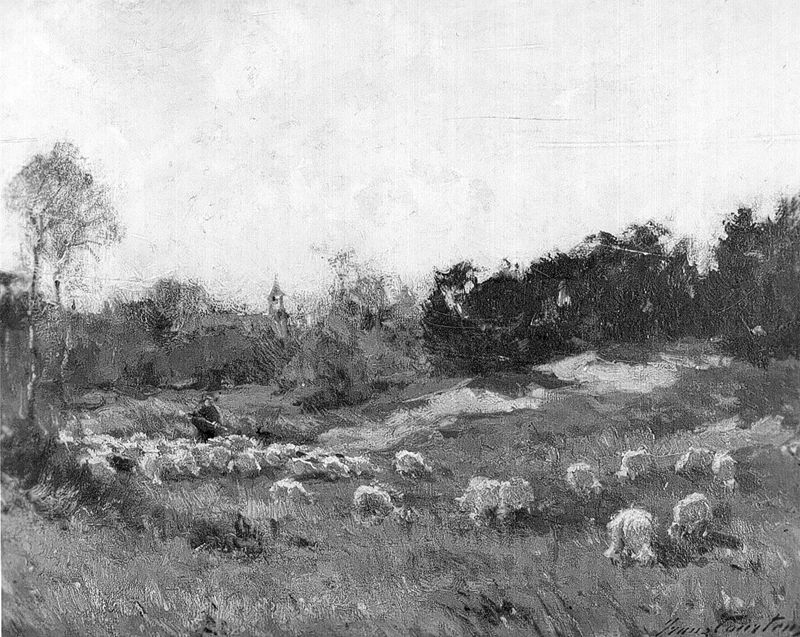 Moutons en Campine