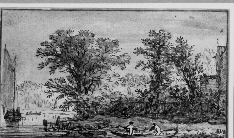 Rivier met bootjes onder de bomen