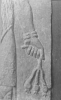 E011590