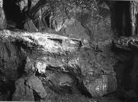 E011884