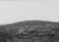 E011969