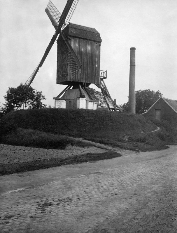 moulin à pivot / Bouwwerk[Temse]