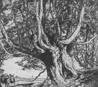 E013795