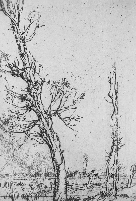 Bomen te Longré (nr.1)