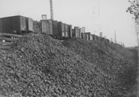 E019376