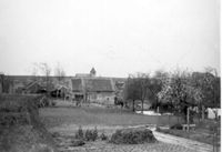 E019496