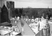 E019650