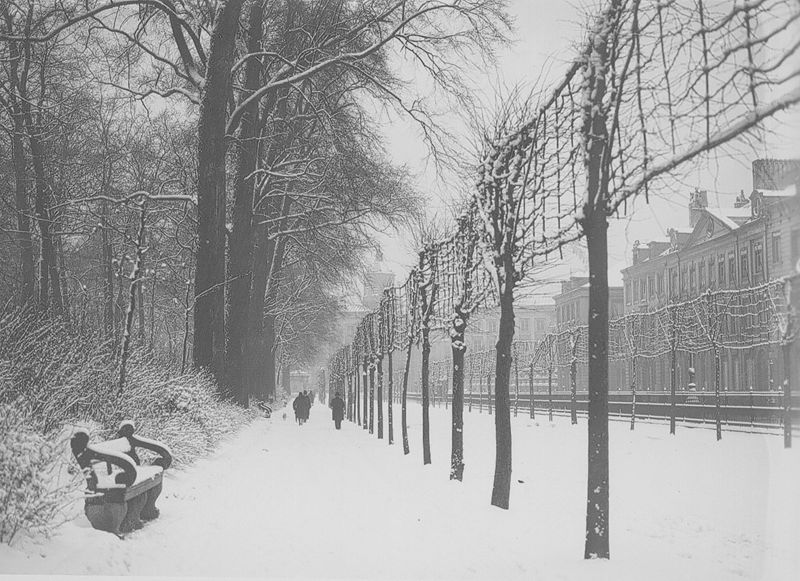 parc / Parc royal (Bruxelles)