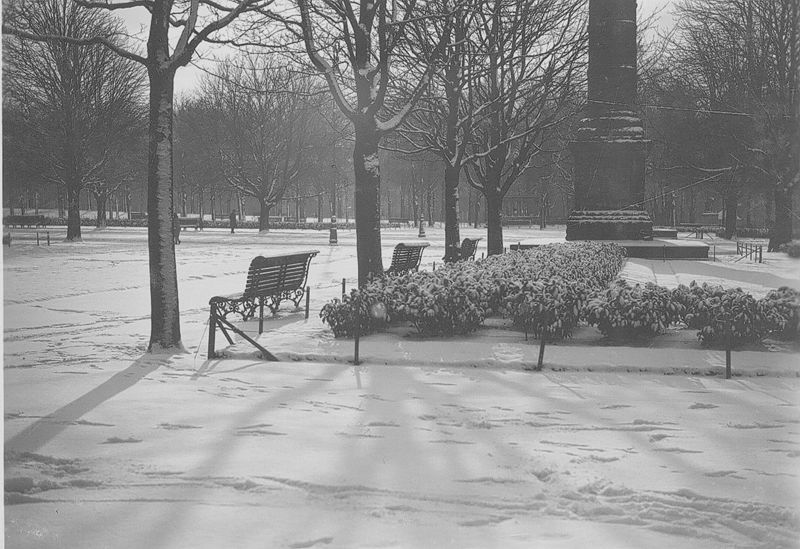 Parc du Cinquantenaire