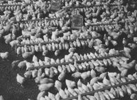 E020097