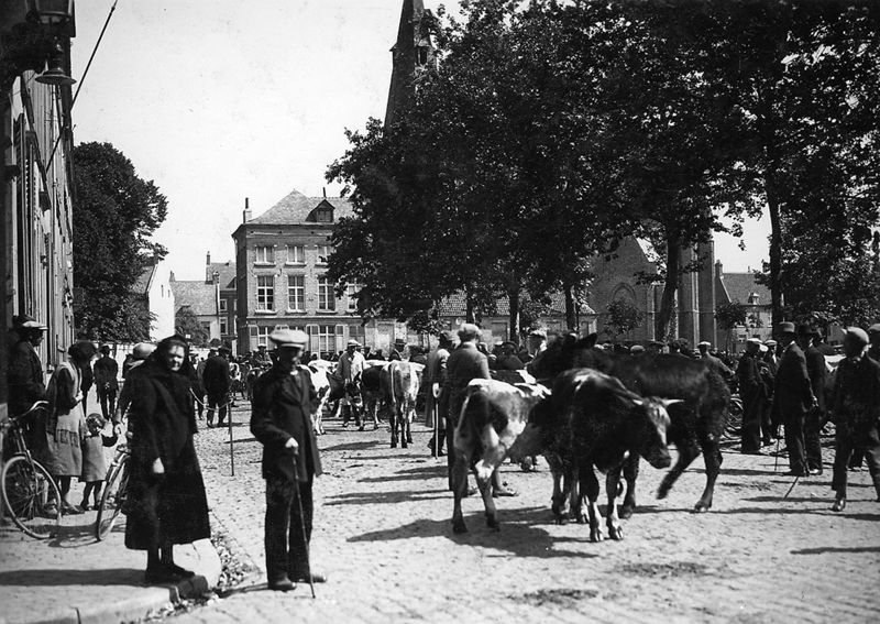 Veemarkt te Leuven