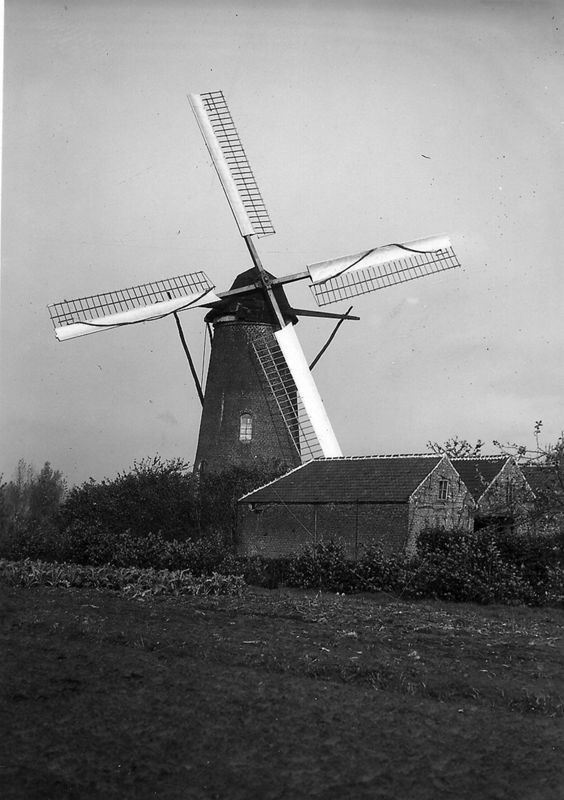 moulin à pivot / Bouwwerk[Kalken]