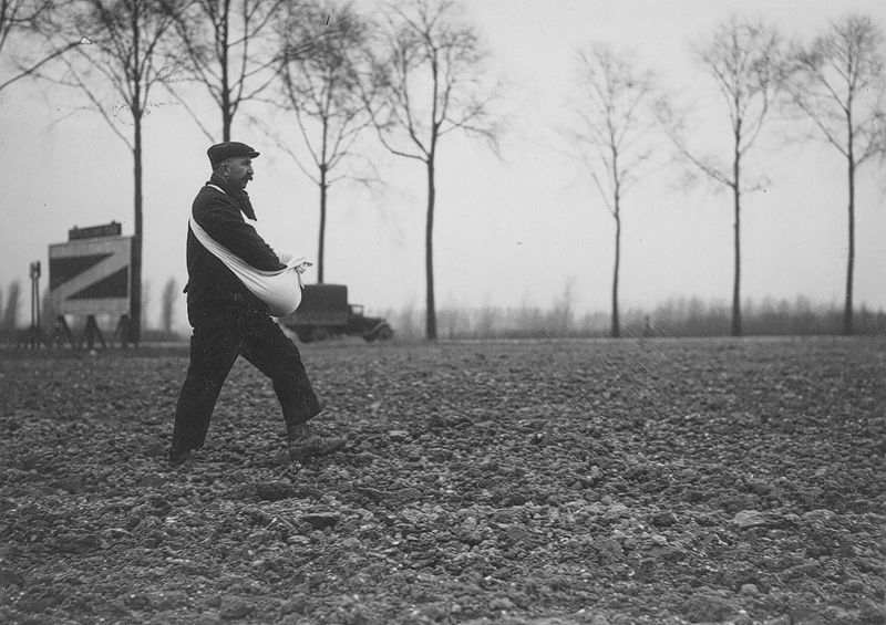 Het ploegen - Labour