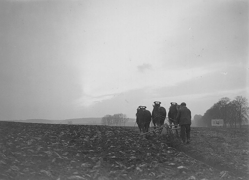 Het ploegen - Labour