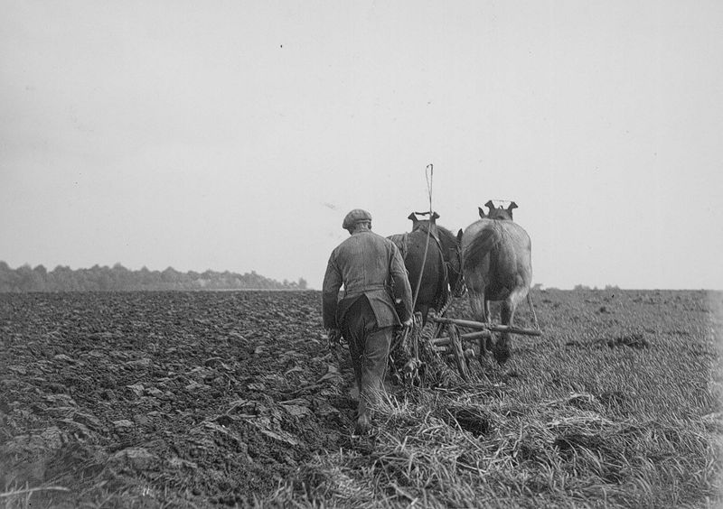 Het ploegen - Labour
