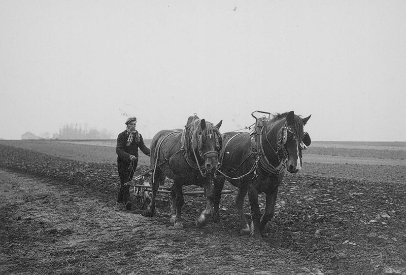 Het ploegen - Labour
