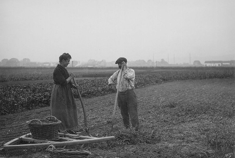 Het ploegen - Labour
