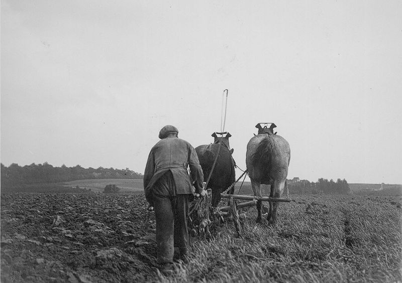 Het ploegen - Labour