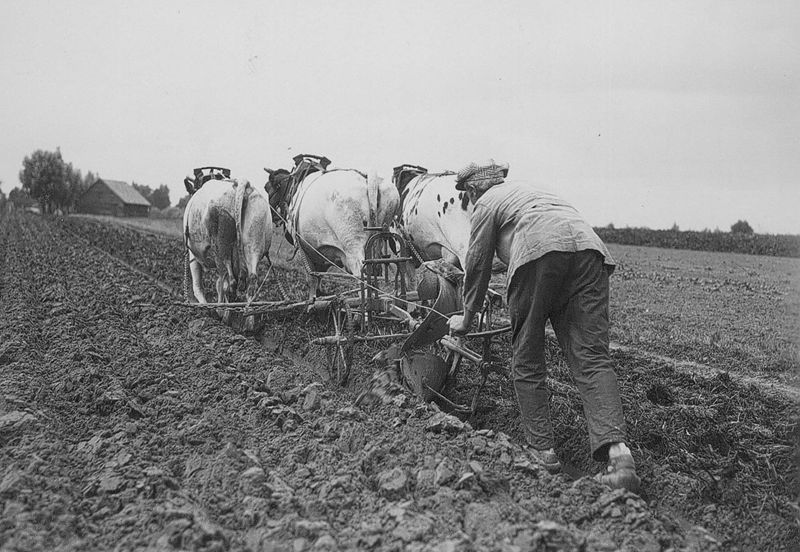 Het ploegen - Labour