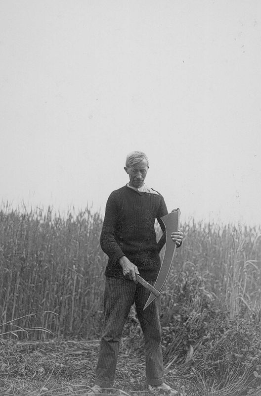 Moisson - Oogst