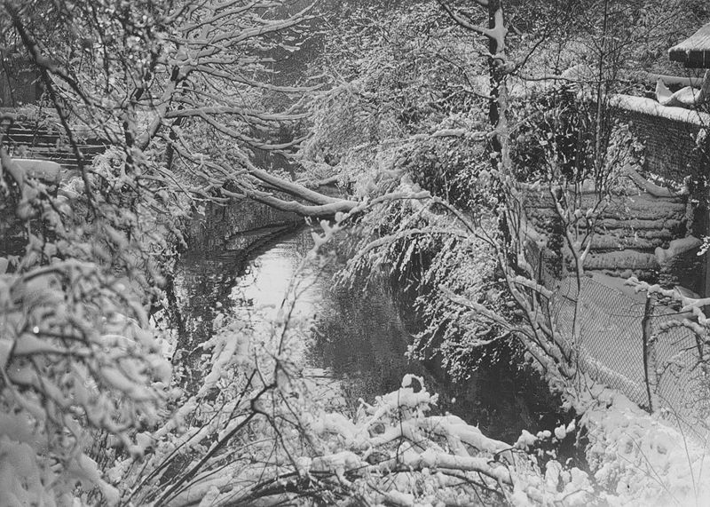 cours d'eau / Aspect[Brugge]