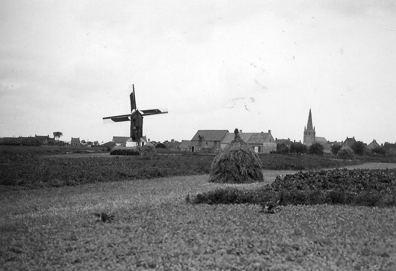 moulin à vent / Bouwwerk[Bulskamp]