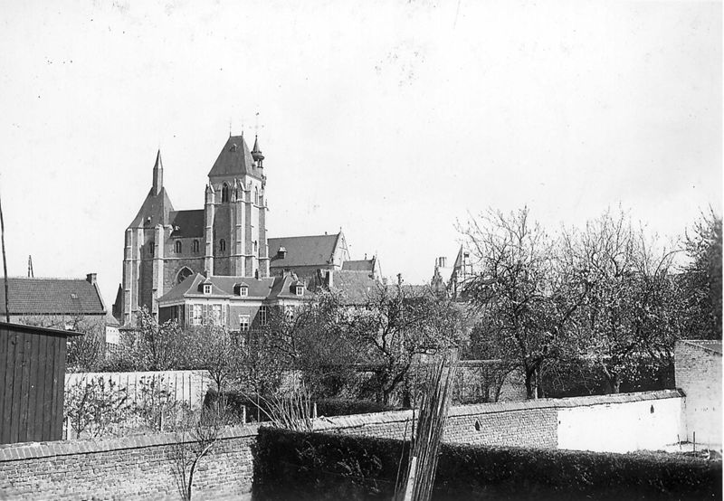 collégiale / Kerk Sint-Leonardus[Zoutleeuw]