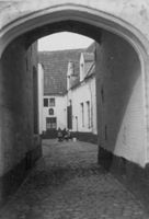 E025233
