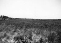 E025275