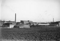 E026019