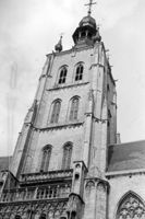 E026246
