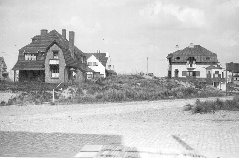 paysage de dunes / Aspect[Oostduinkerke]