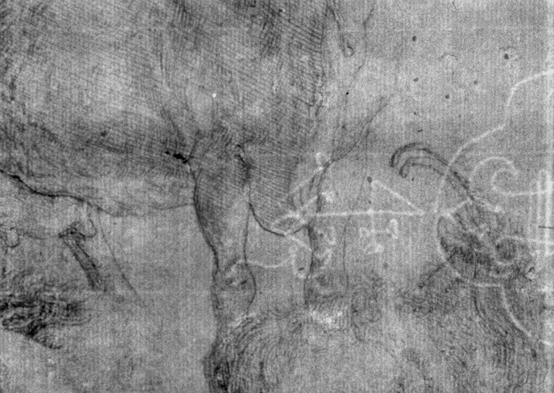 Koe, bok en geit